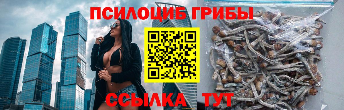 Семёнов  Псилоцибиновые грибы мухоморы  Вход с VPN 